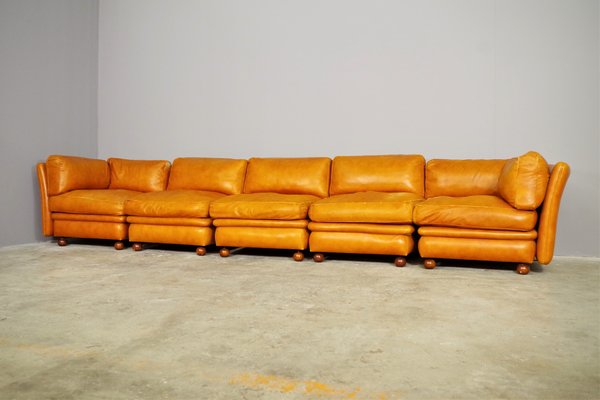 Modular Frau Sofa in Leather, 1970, Set of 5-KNM-1452791