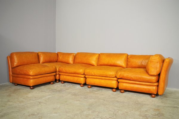 Modular Frau Sofa in Leather, 1970, Set of 5-KNM-1452791