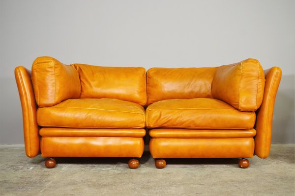 Modular Frau Sofa in Leather, 1970, Set of 5-KNM-1452791