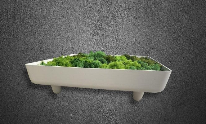 Modular Planter Bowl by Wolfgang Feierbach, 1970s-PYR-1344530