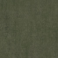 Wallabi_WI542