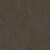 Wallabi_WI543