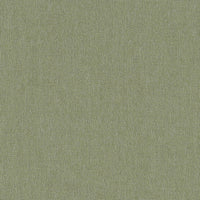 Zucchero_ZL743