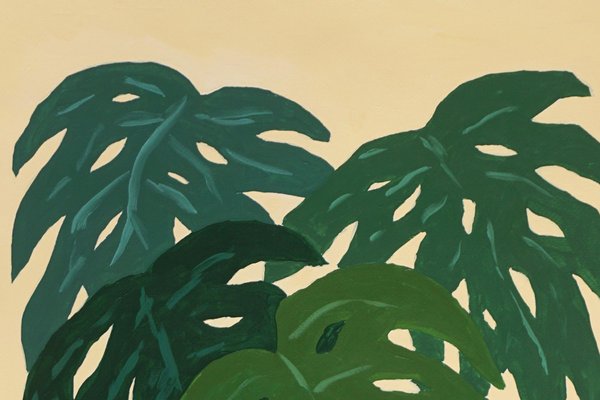 Monstera Plant, 2023, Acrylic on Paper-RWC-1786034