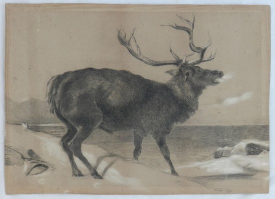 Moose Charcoal Painting by Richard Cockle Lucas, 1878-ARU-1004803