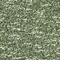 Cenere (A5702)