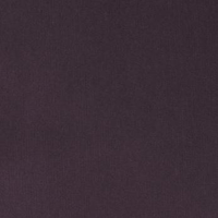 Grigio scuro (A8866)
