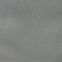 Grigio chiaro (A8867)
