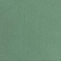 Mint (A7153)