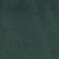 Green apple (A7154)