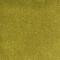 Kiwi (A7137)