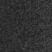 Black (A1595)