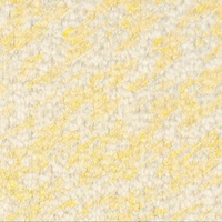 Salvia (A7166)