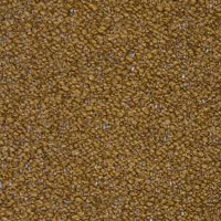 Gold (A7124)