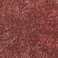Tundra (A1204)