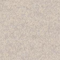 Oak (A1205)
