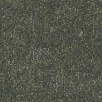 Pine (A1213)