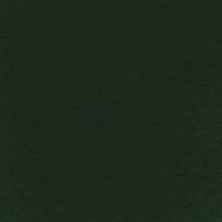 Argento (A8735)