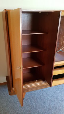 Multifunction Birch, Walnut, Brass and Vinyl Cabinet with 2 Drawers and Decorated Glass Panel, 1950s-HOI-942005