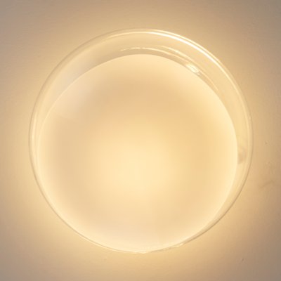 Murano Glass Blown Crystal with Large Opal White Spot Ceiling Lamp from Leucos, 1980s-MPO-1180651