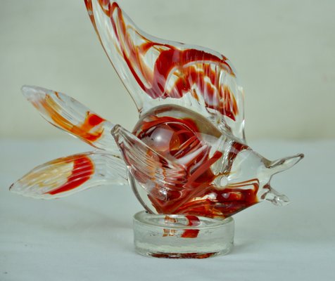 Murano Glass Fish from Murano, 1970s-ROJ-618428