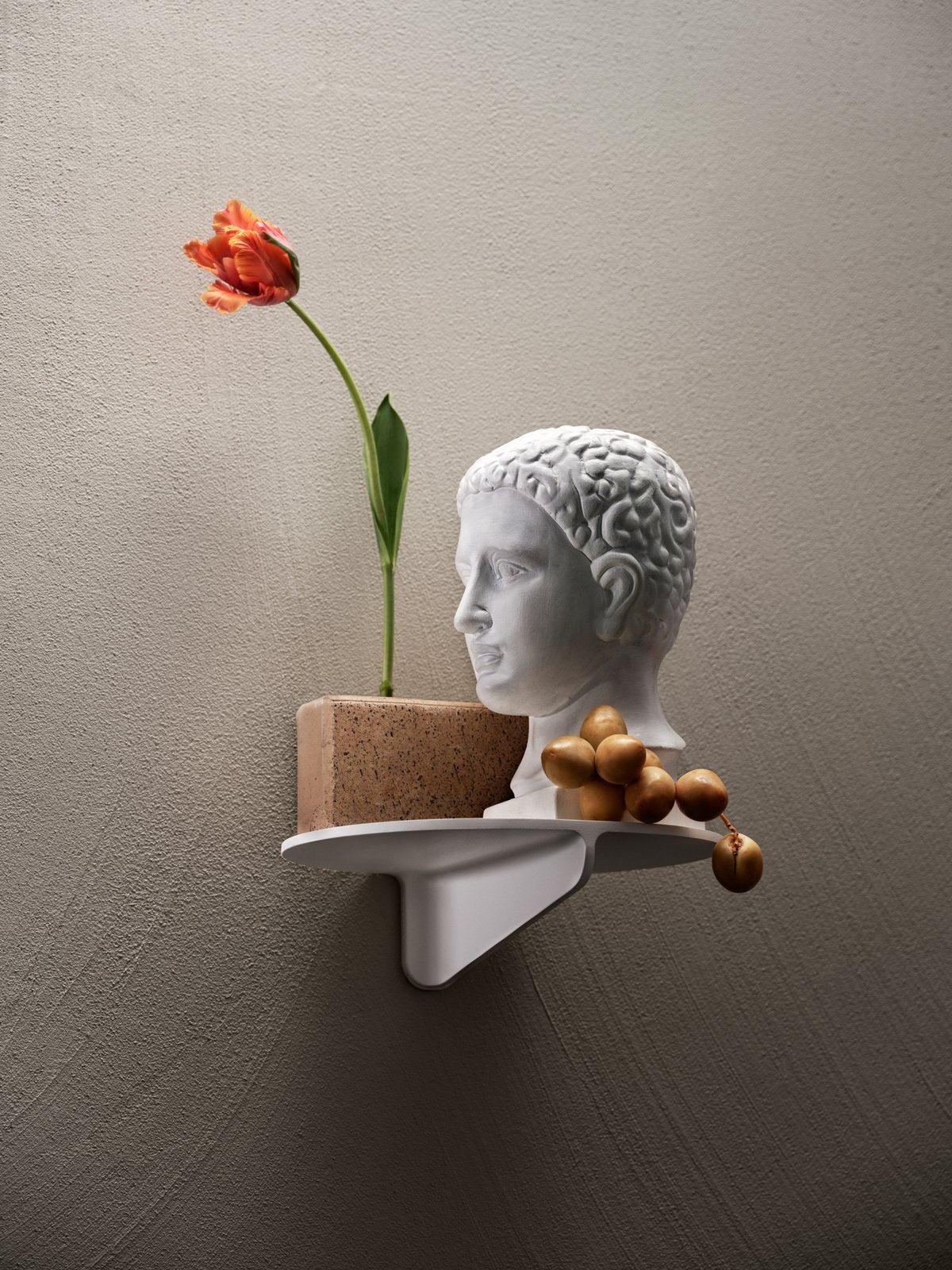 Museum shelf, white