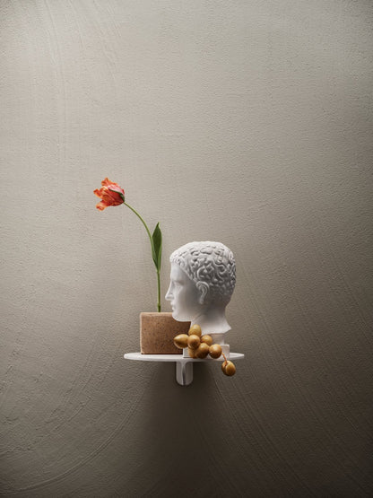 Museum shelf, white