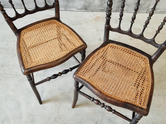 Napoleon III French Chairs Dining Chairs, Set of 2-IFQ-2028211