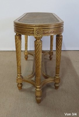 Napoleon III Piano Bench in the Style of Louis XVI-RVK-1118416