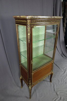 Napoleon III Vitrine Mahogany Showcase-WSV-1367306