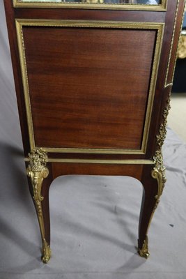 Napoleon III Vitrine Mahogany Showcase-WSV-1367306