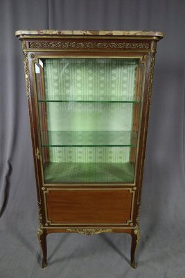 Napoleon III Vitrine Mahogany Showcase-WSV-1367306