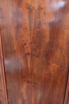 Narrow Mahogany Wardrobe-RVK-1706500