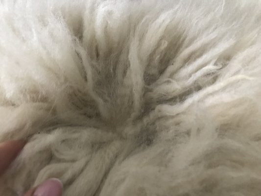 Natural Sheepskin Rug, 1980s-WQQ-1261347