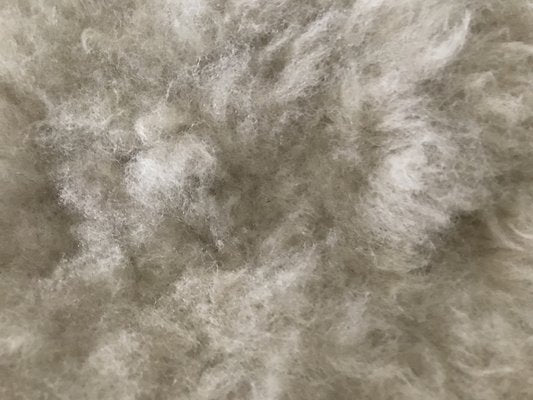 Natural Sheepskin Rug, 1980s-WQQ-1261347