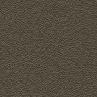 Dark Beige