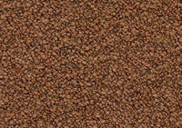 Rust