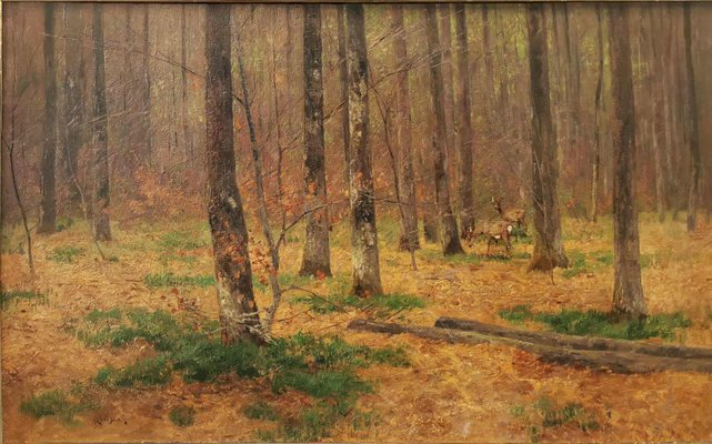 Nelson Gray Kinsley, Roe Deer in the Woods, 1890s, Oil on Canvas-BGS-1761139