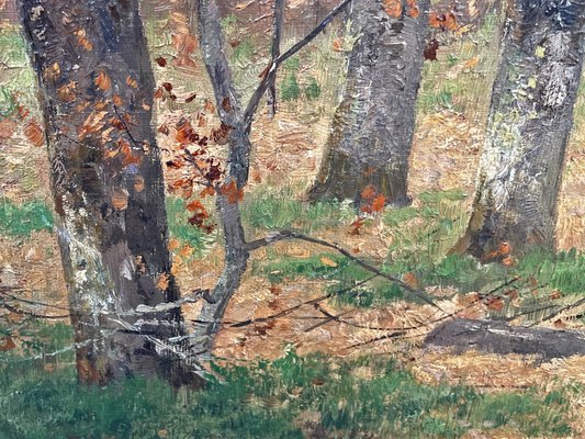 Nelson Gray Kinsley, Roe Deer in the Woods, 1890s, Oil on Canvas-BGS-1761139