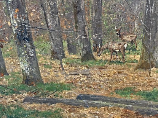 Nelson Gray Kinsley, Roe Deer in the Woods, 1890s, Oil on Canvas-BGS-1761139