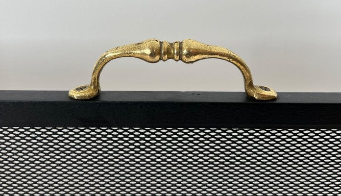 Neoclassical Steel & Brass Feet Firewall, 1940s-BA-1787272