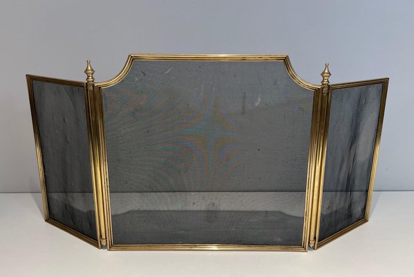 Neoclassical Style Fire Screen in Brass and Wire Mesh, 1940s-BA-1516221