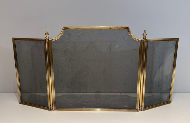 Neoclassical Style Fire Screen in Brass and Wire Mesh, 1940s-BA-1516221