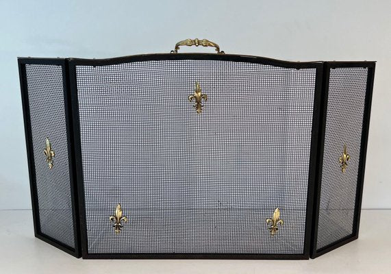 Neoclassical Style Firescreen in Steel, Brass and Wire Mesh with Lily Flower Decoration-BA-1784747