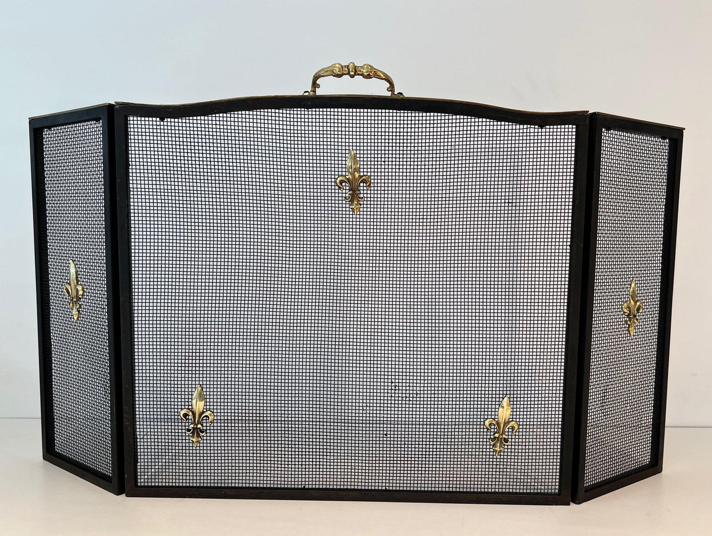 Neoclassical Style Firescreen in Steel, Brass and Wire Mesh with Lily Flower Decoration