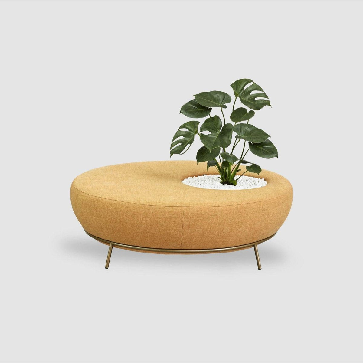 Nest Round Sofa Planter by Paula Rosales