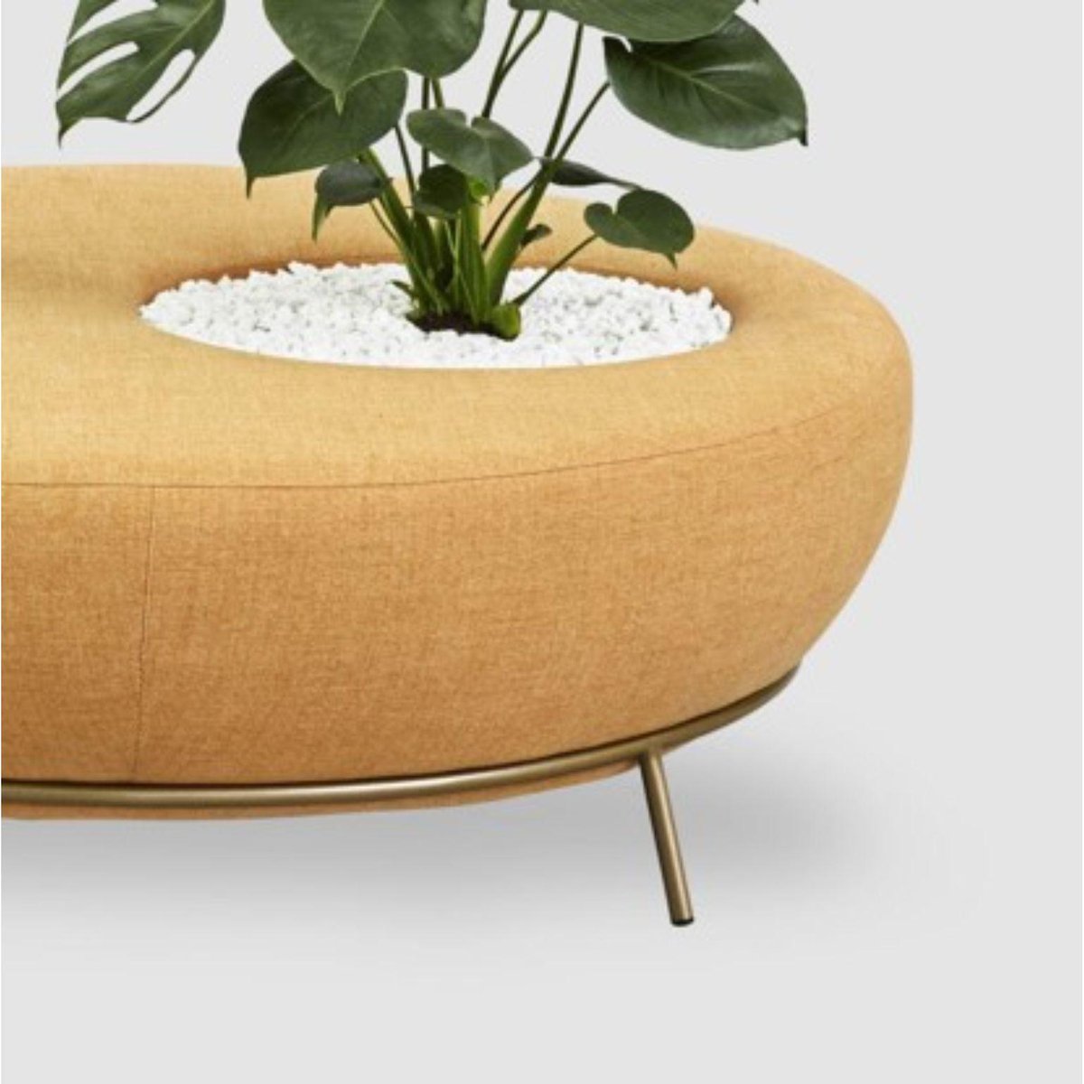 Nest Round Sofa Planter by Paula Rosales