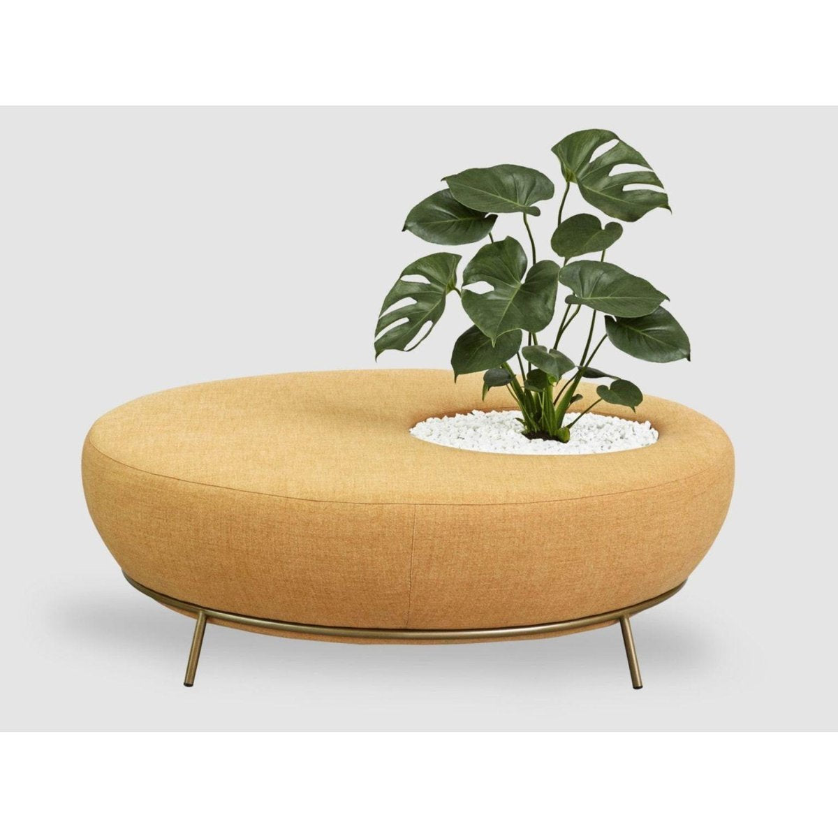 Nest Round Sofa Planter by Paula Rosales