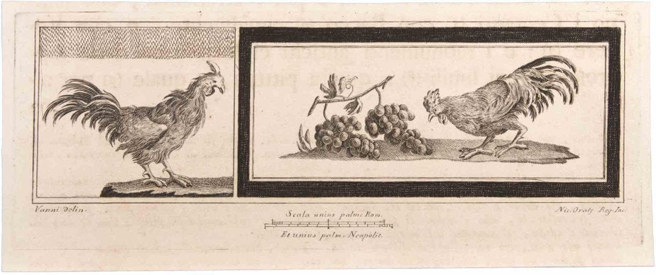 Niccolò Vanni, Decoration with Animals, Etching, 18th Century-ZCI-1760627