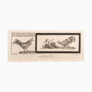 Niccolò Vanni, Decoration with Animals, Etching, 18th Century-ZCI-1760627